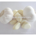 2016 NEW CROP GARLIC